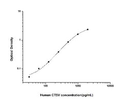 Novus Biologicals&trade;&nbsp;Human Cathepsin V ELISA Kit (Colorimetric)